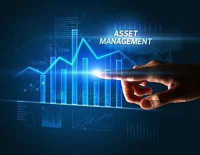 Fleet asset management