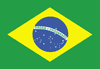 Brazil_Flag_NCDs.gif
