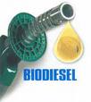 biodiesel_4_19_2008-10_45_am.jpg