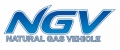 Honda Civic Natural Gas Logo