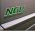 Natural Gas Vehicle